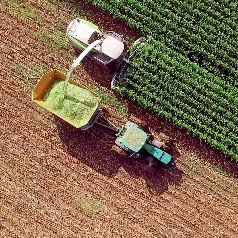 Aerial view of high value and in demand crops harvested at the end of the growing season | Crescero Natural Capital