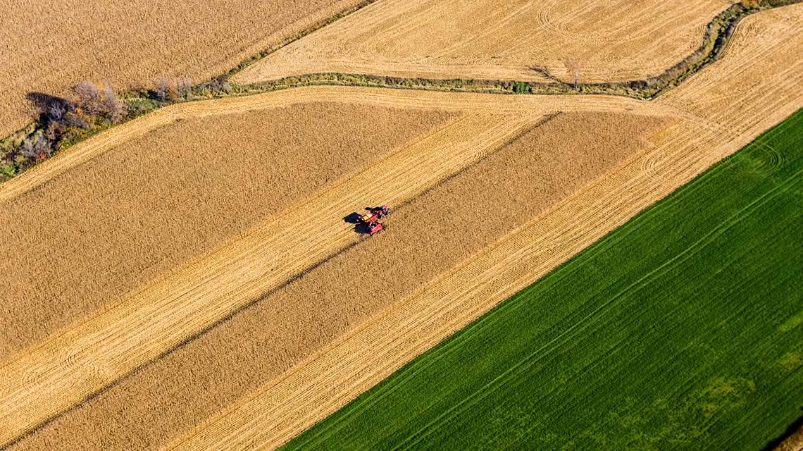 Combine harvester works a rich field of wheat | Crescero Natural Capital