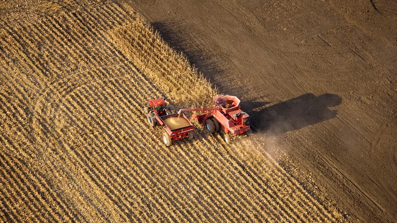Large combine harvester collects the final harvest of the season into a tractor bed | Crescero Natural Capital
