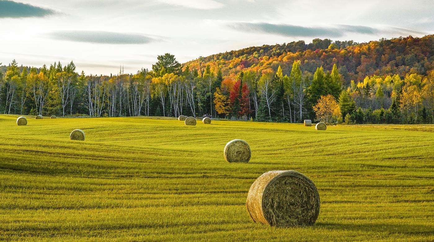 Large hay bales on farmers fields in autumn | Crescero Natural Capital