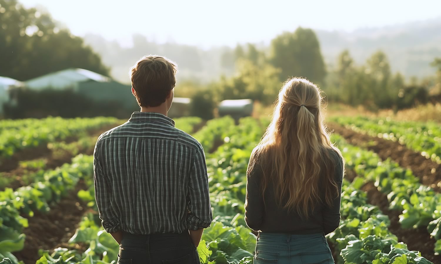 Next generation of farmers look out over green lettuce crops | Crescero Natural Capital